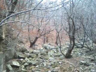 재물은 물과 같이 평등하고 사람은 저울과 같이 바르다 .이말을 항상 마음에 두고 생각합니다.바르고 .정직하구.거짓없는 세상을꿈꾸고 있읍니다.