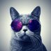 RebelX (@tomast445033) Twitter profile photo RebelX (@tomast445033) Twitter profile photo