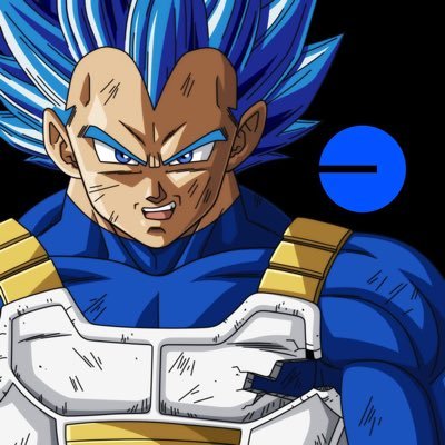 VEGETA Profile