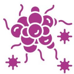 Virtual Symposium on Staphylococcal Infections | July 9-10, 2025 | Online organized by IRC Group.