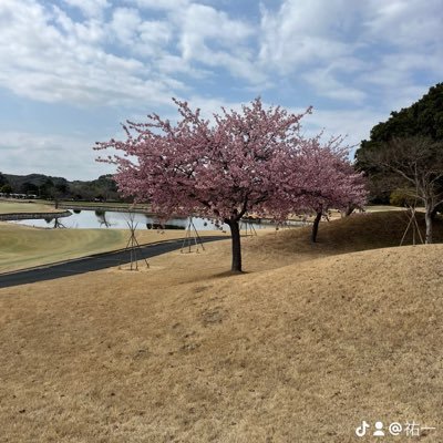 5P70rThs5Z74622's profile picture. 友達募集中！神奈川県住みで40代前半で車も持ってます。もしよろしければ、お付き合いください！ 趣味はゴルフ、旅行、車など！ できたら、ホッとできる彼氏、動物好きな彼氏が欲しいです。歳下希望です！