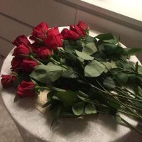 can esmer (@sevmek7716) 's Twitter Profile