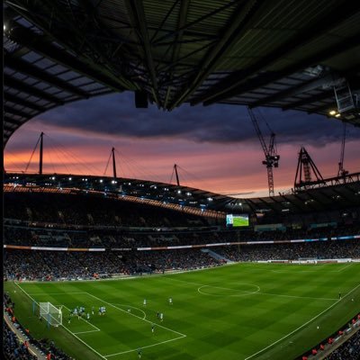 Matt_L31's profile picture. 