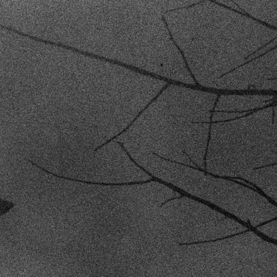 lolequa's profile picture. kindly fuck off.