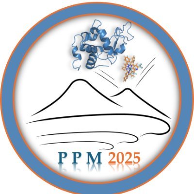 1st PPM 2025 Conference
📆 10-12 June 2025
📌Società Nazionale di Scienze, Lettere e Arti in Napoli - Via Mezzocannone, 8, 80134 Napoli
