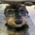 .... (@immoranguinhkk) Twitter profile photo .... (@immoranguinhkk) Twitter profile photo