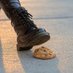 🍪The Crushed Cookie 🍪 (@tramplecookie) Twitter profile photo 🍪The Crushed Cookie 🍪 (@tramplecookie) Twitter profile photo