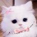 💗💗💗 (@ay_la_shi_on_gi) Twitter profile photo 💗💗💗 (@ay_la_shi_on_gi) Twitter profile photo