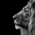 Jaco Dippenaar (@jacodippen16007) Twitter profile photo