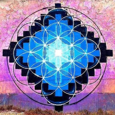 martinqsc's profile picture. 