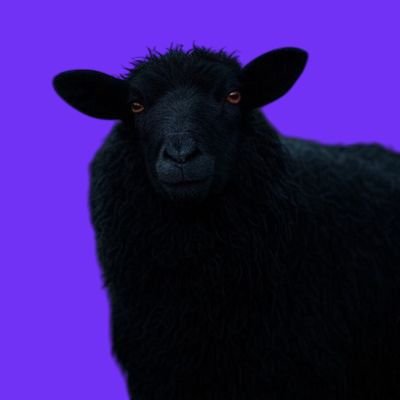 KillR69441's profile picture. just trying to escape  the matrix
#Cryptoinvestor 
$BTC $BERA $LOFI holder