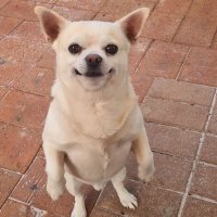 sisken 🎀 (@sisken187) Twitter profile photo