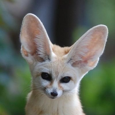 katarina_doctat's profile picture. 