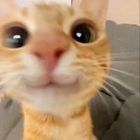 unique (@uniqueexn) 's Twitter Profile