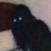duh (@lexaprohaver) Twitter profile photo duh (@lexaprohaver) Twitter profile photo