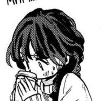 Blitzkibidi (@smoofles) 's Twitter Profile