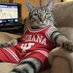 Cat Faja (@catdadwithcheez) Twitter profile photo Cat Faja (@catdadwithcheez) Twitter profile photo