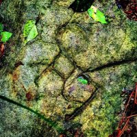 Caladian (@polebridgea) 's Twitter Profile