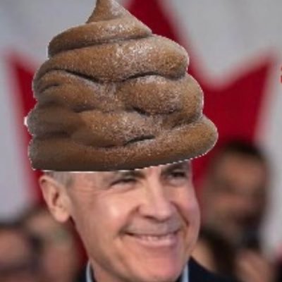 Politically incorrect. A small fringe Conservative deplorable. My pronouns are fuck and you. If you're a Liberal you are the problem. #Carneymustgo
