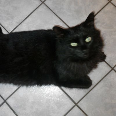 Featherine1's profile picture. 