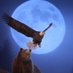@AnimalSpirits (@animalspiritsai) Twitter profile photo @AnimalSpirits (@animalspiritsai) Twitter profile photo
