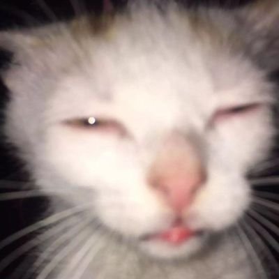 eljuA_Ncho's profile picture. Soy el caos de las seis y media