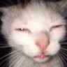 eljuA_Ncho's profile picture. Soy el caos de las seis y media