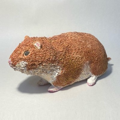 yas__ako's profile picture. osk14th → 25B工学院 (traP / JIZI)