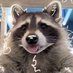 Raccoon of shtwt (@carrionraccoon) Twitter profile photo Raccoon of shtwt (@carrionraccoon) Twitter profile photo