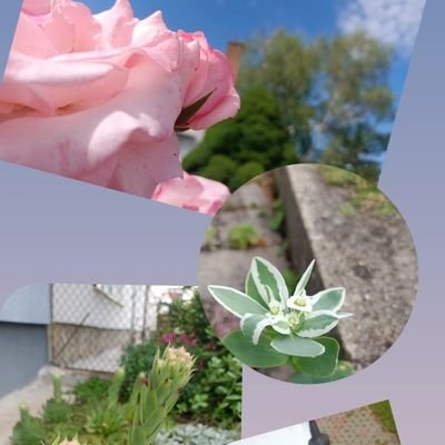 Ms_Jnaka's profile picture. เต้ตี๋คือที่หนึ่ง💙 (SBFIVE) มี๊น้องณฐ รักเสมอ