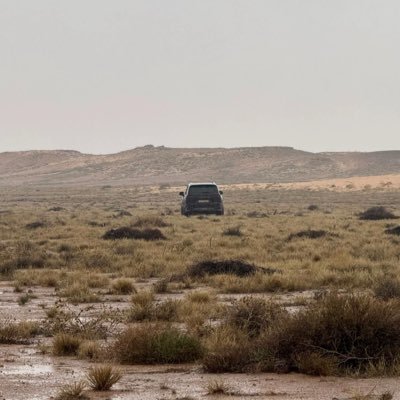 Saaud04's profile picture. 