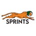Sprints (@getsprints) Twitter profile photo Sprints (@getsprints) Twitter profile photo