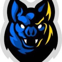 Morgonbats (@morgonbats) 's Twitter Profile