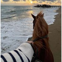 Gunmery (@merygibi) 's Twitter Profile