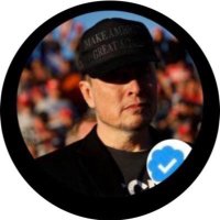 Real musk (@realmusk__01) 's Twitter Profile