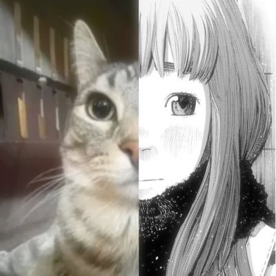 kittywithaned's profile picture. 17 、 ifb !