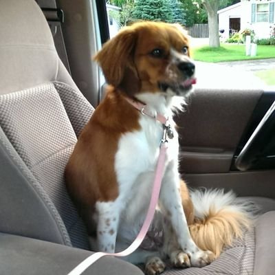 Momberly89's profile picture. Imperfect follower of Christ. Married to Mr House for 21 years. Fierce protector of kids. Views are my own, and in no way trump God's word, will, or character.