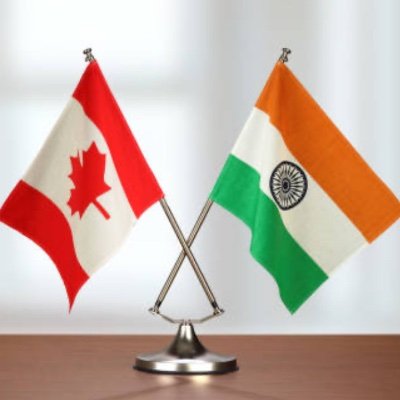 Dev_Danish11's profile picture. My Retweets not equal to endorsement.