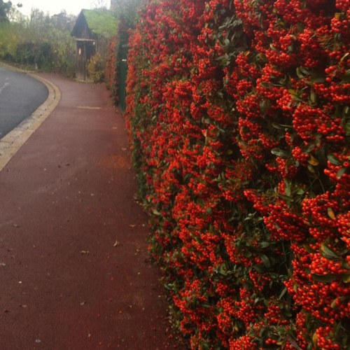 wndnwb's profile picture. 마음을 담고, 다뤄요.