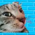 KC Chat 🇨🇵🚩💙 (@rl_chat_) Twitter profile photo KC Chat 🇨🇵🚩💙 (@rl_chat_) Twitter profile photo