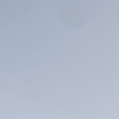 laundry_O5's profile picture. 