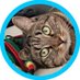 KC **** ****** ☭ (@wesegu9412) Twitter profile photo