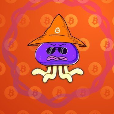 @Renatoairdrops2