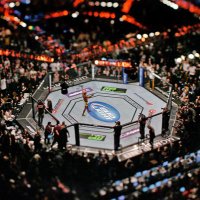 Drunk UFC Intern (@drunkufcinterns) 's Twitter Profile
