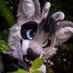Tevo 🦊+🦌 (@tevosilverfox) Twitter profile photo Tevo 🦊+🦌 (@tevosilverfox) Twitter profile photo