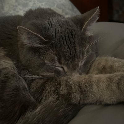 lunareclipse908's profile picture. 