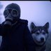 Nick (@nick_w_husky) Twitter profile photo Nick (@nick_w_husky) Twitter profile photo