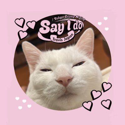 ラグビーとかお相撲とかお笑いとかねことか犬とかすきなメスです。 いまはどっぷりTravis Japanの沼に。 ちゃか❤️よりの箱推し💜タイプロからtimeleszも💕無言フォローごめんなさい🙏