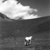 xipipa (@svccor) 's Twitter Profile Photo