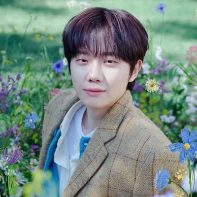 ハヒョンサン ha hyungsang calibrate 韓国 LPレコード レコード